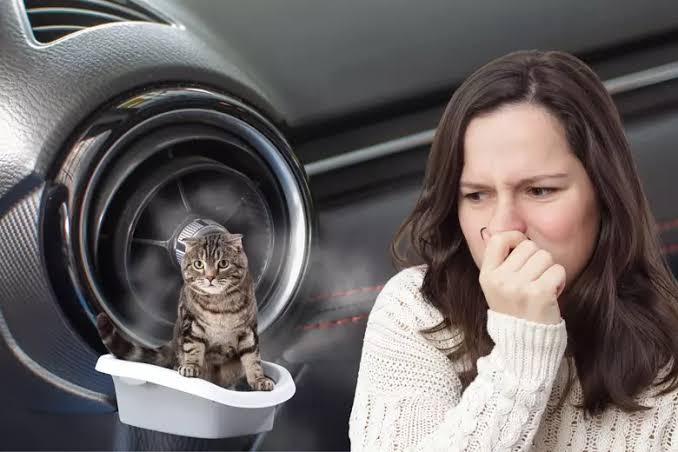 Woman covering her nose from cat urine odor coming through a car air vent